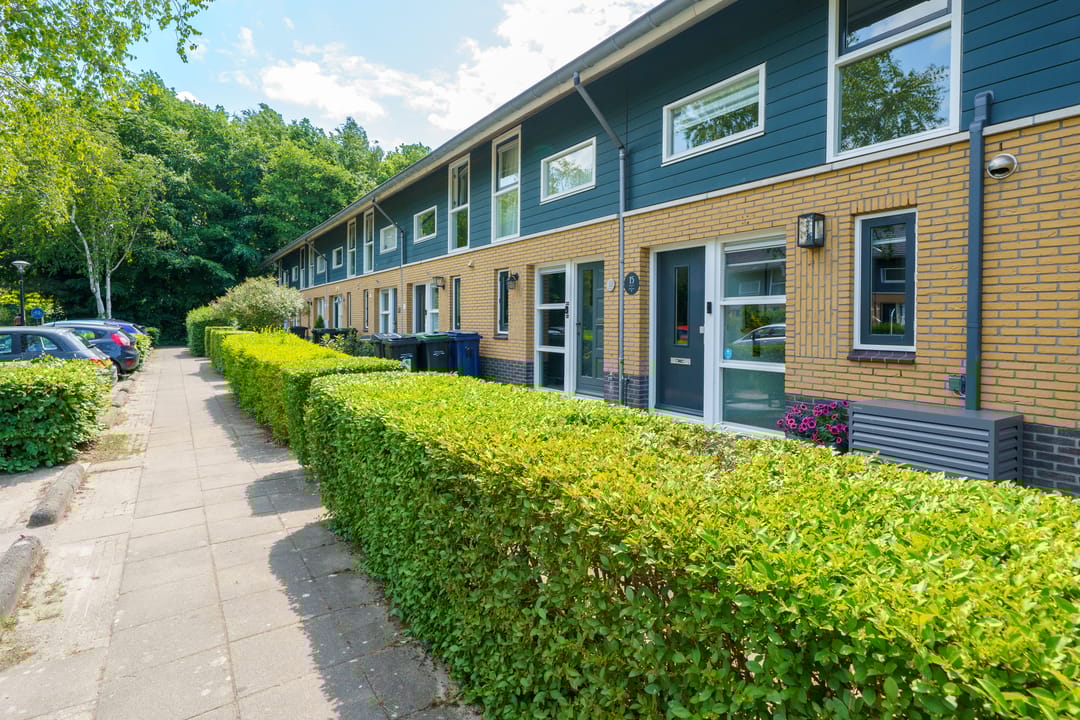 Foto 38 van Februaristraat 15