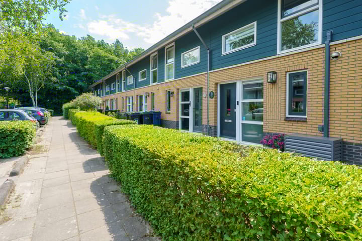 Foto 38 van Februaristraat 15