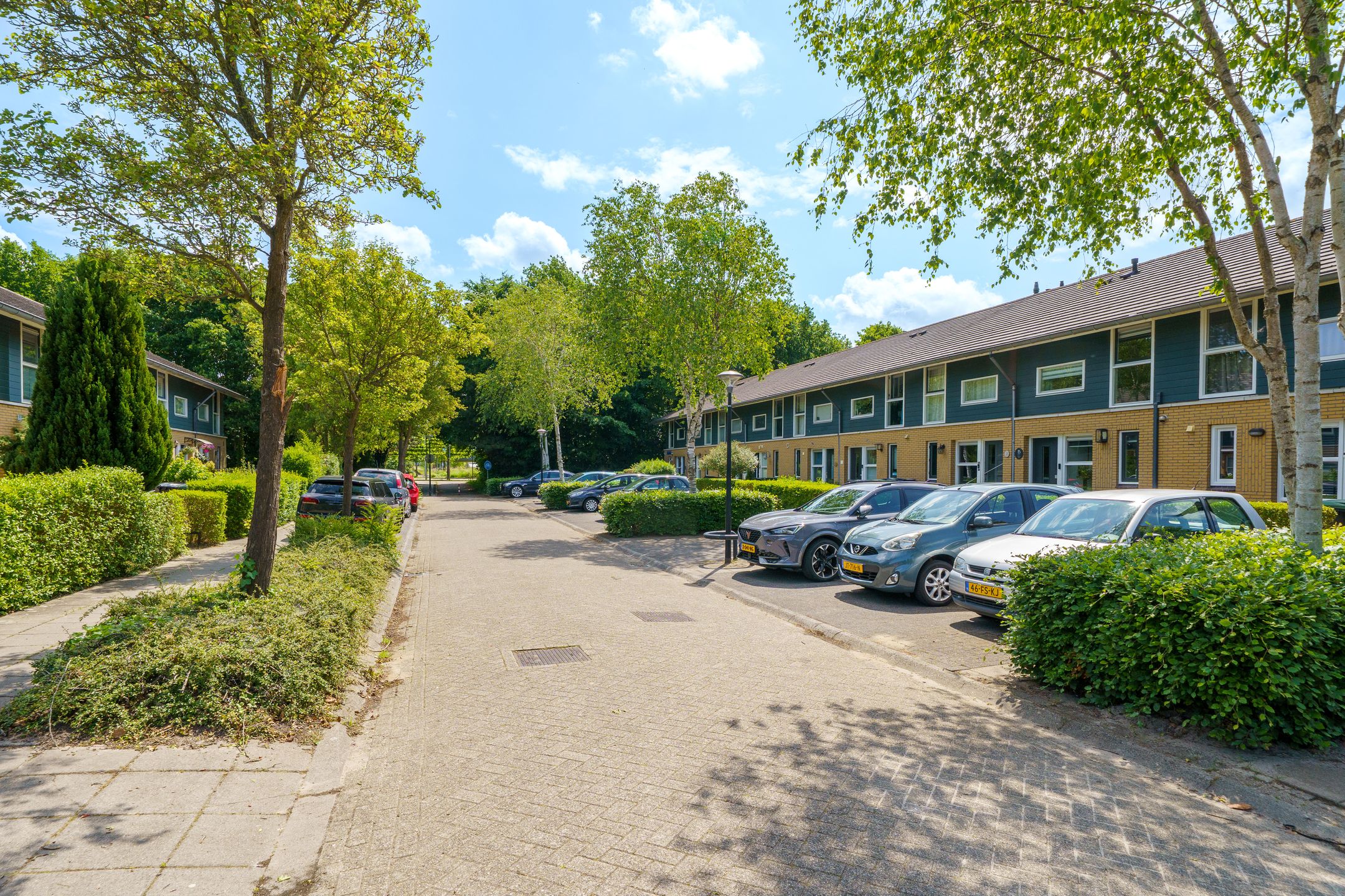 Foto 39 van Februaristraat 15