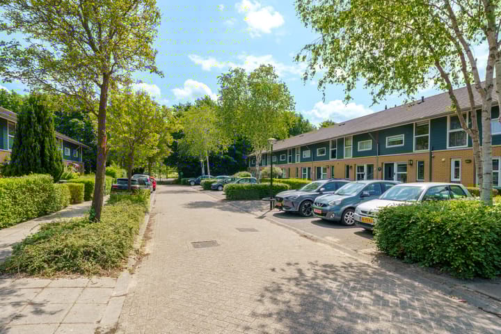 Foto 39 van Februaristraat 15