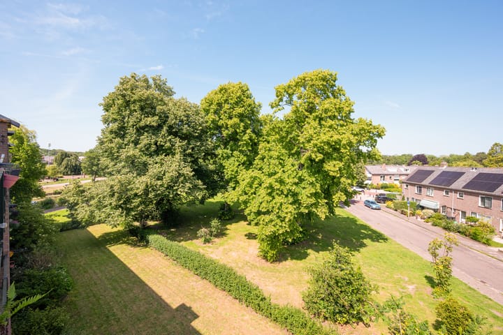 Foto 25 van Rijnlaan 139