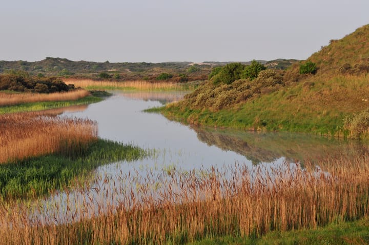 Foto 37 van Rijnlaan 139