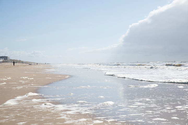 Foto 38 van Rijnlaan 139