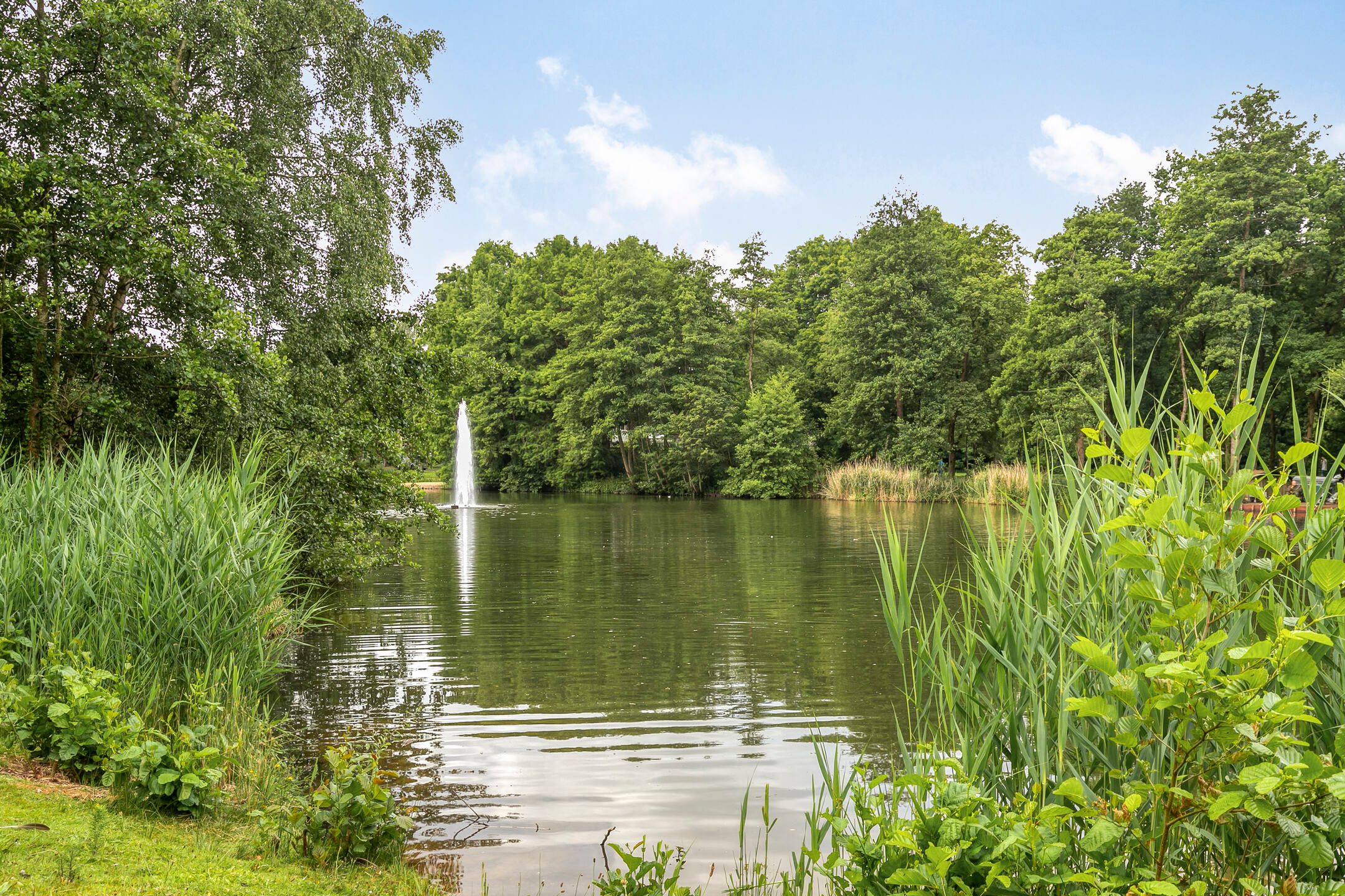 Foto 33 van Iepenstraat 55