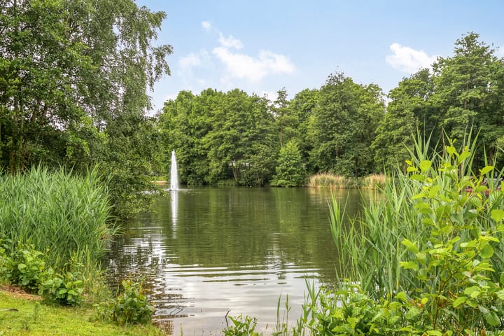 Foto 33 van Iepenstraat 55