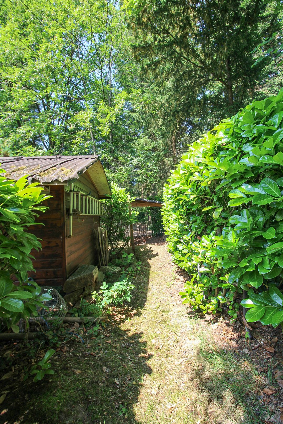 Foto 38 van Putterweg 82-10