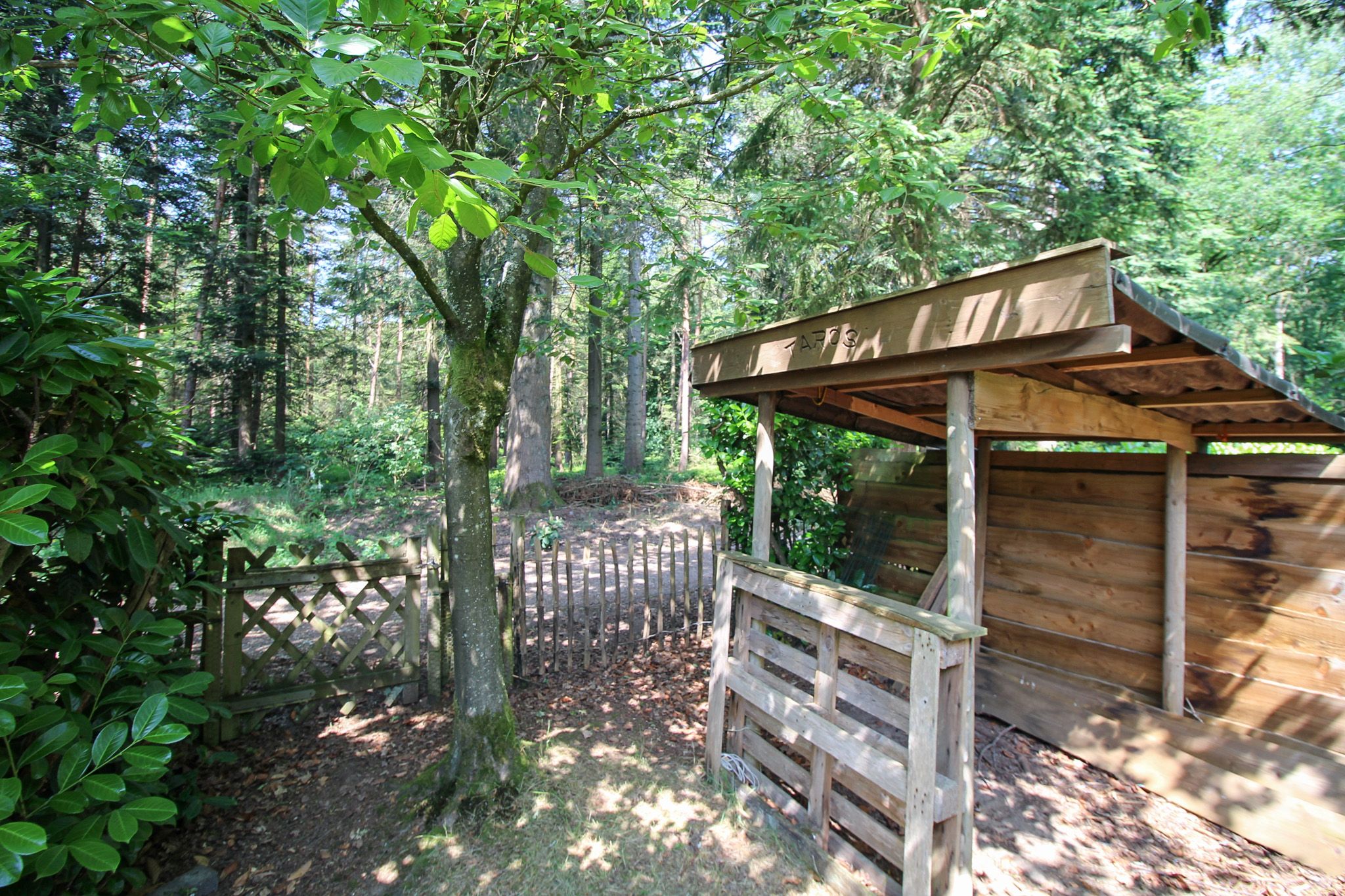 Foto 39 van Putterweg 82-10