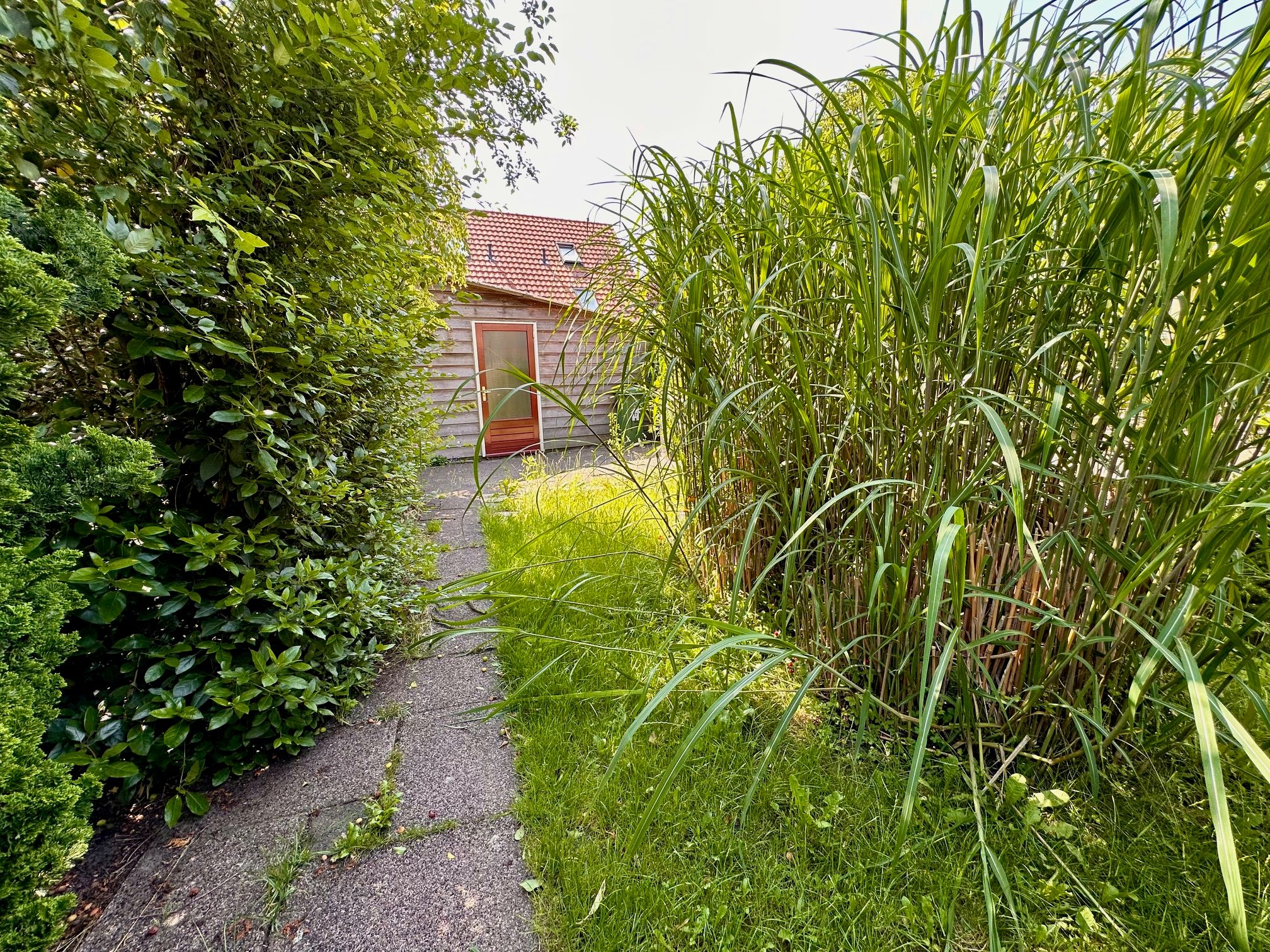 Foto 33 van Overloop 17