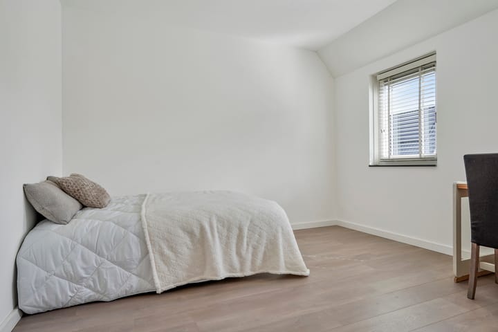 Foto 20 van Sterrennacht 4