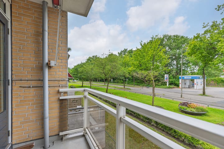 Photo 7 of Brinklaan 269