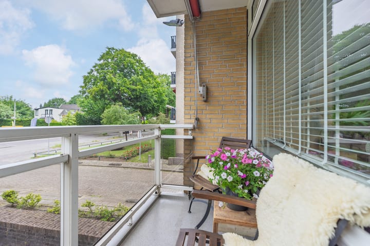 Photo 8 of Brinklaan 269