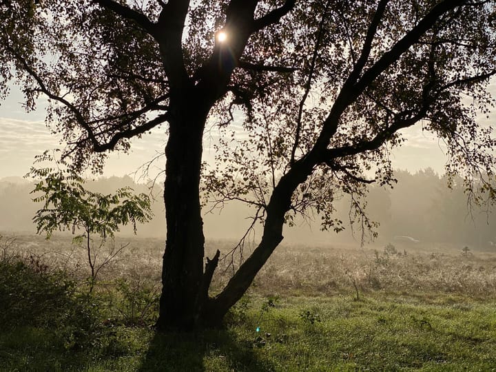 Photo 17 of Brinklaan 269