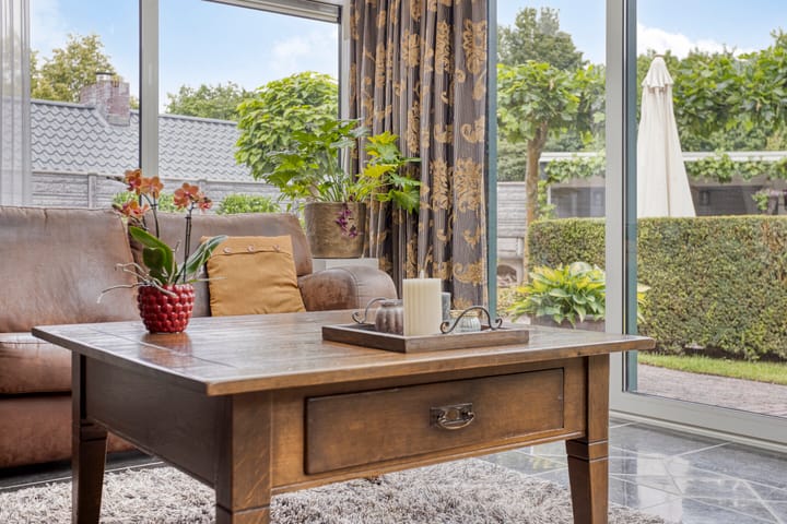 Foto 16 van Balisboom 1