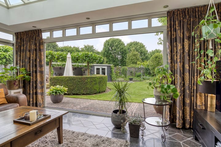 Foto 20 van Balisboom 1