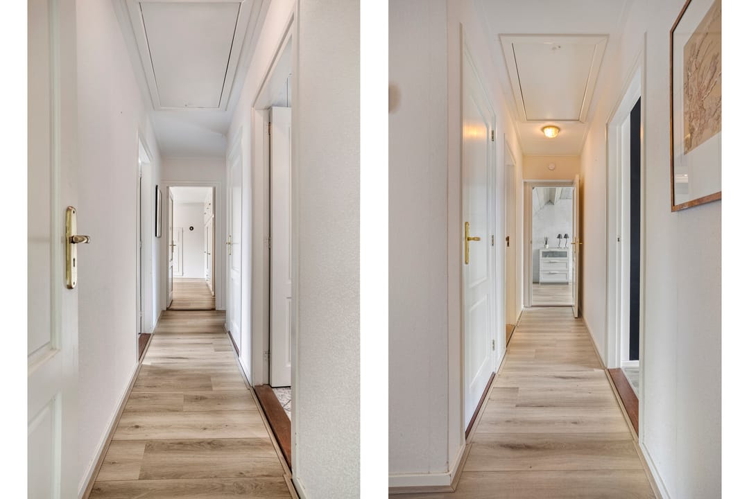 Foto 41 van Balisboom 1