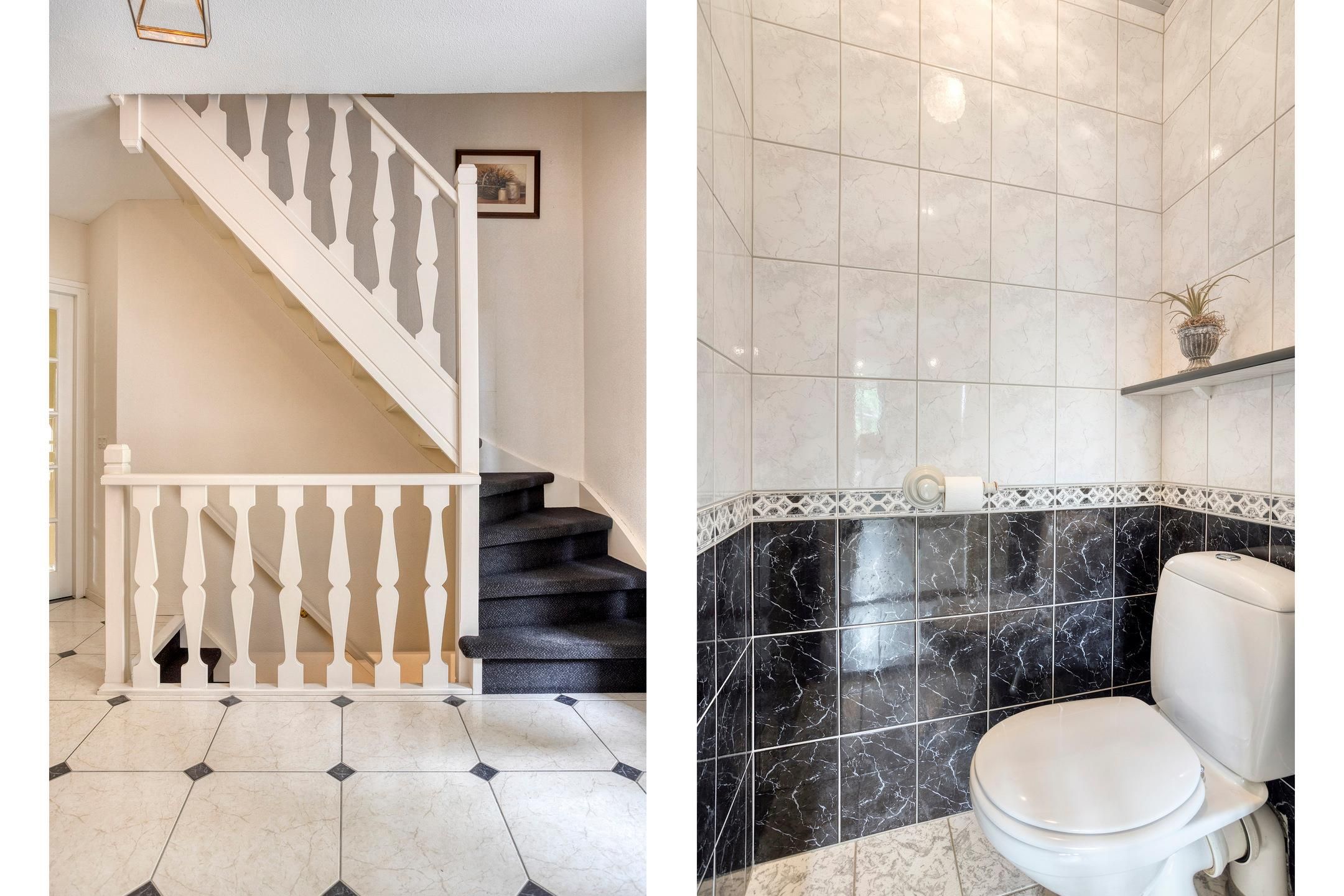 Foto 45 van Balisboom 1