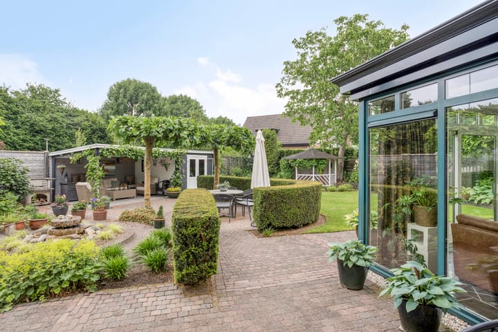 Foto 57 van Balisboom 1