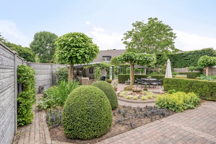 Foto 58 van Balisboom 1