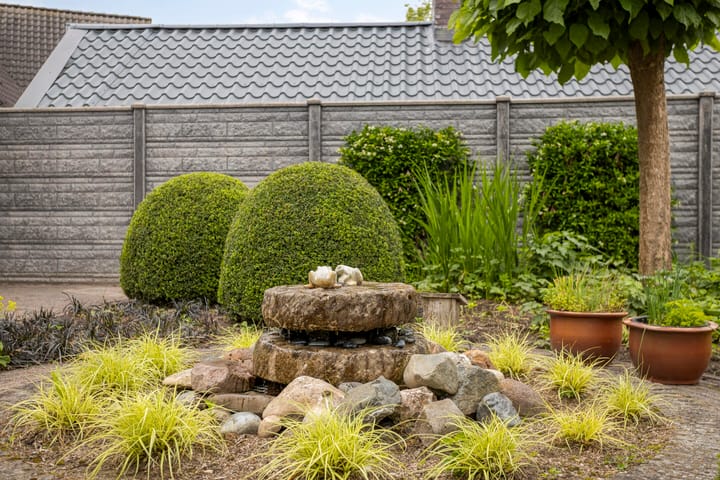 Foto 59 van Balisboom 1