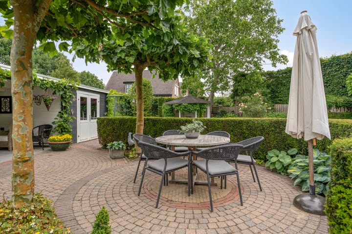 Foto 61 van Balisboom 1