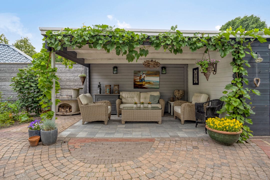 Foto 62 van Balisboom 1