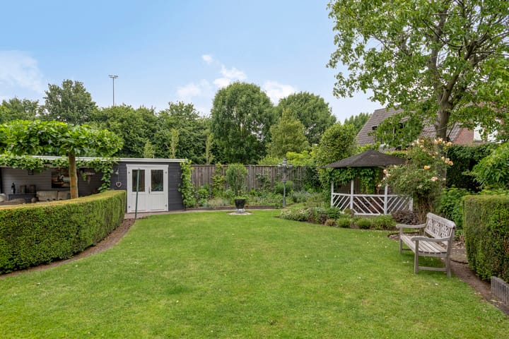 Foto 65 van Balisboom 1