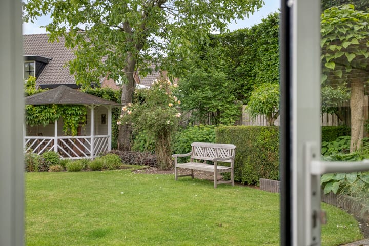 Foto 67 van Balisboom 1