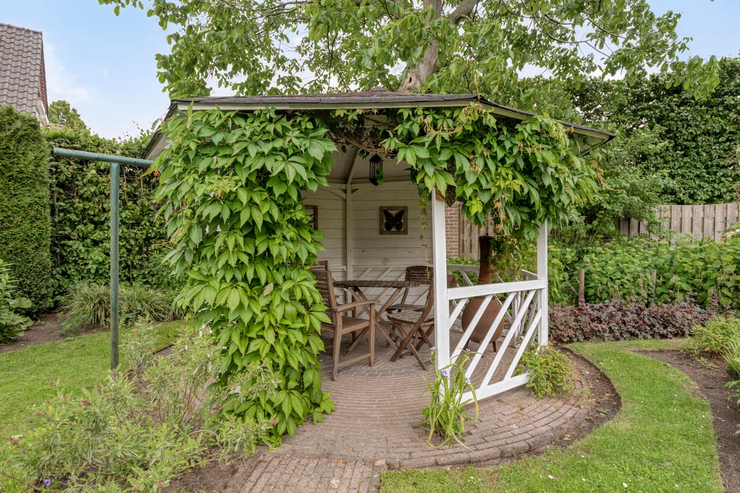 Foto 68 van Balisboom 1