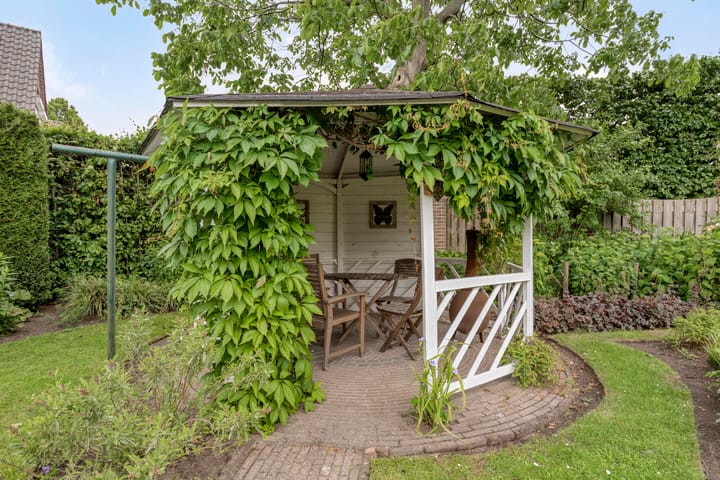 Foto 68 van Balisboom 1