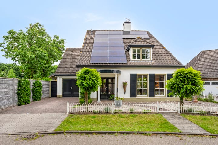 Foto 70 van Balisboom 1