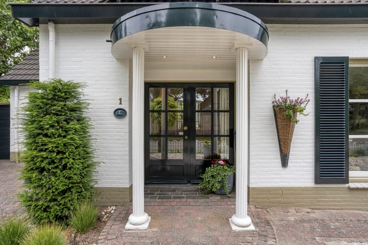 Foto 71 van Balisboom 1