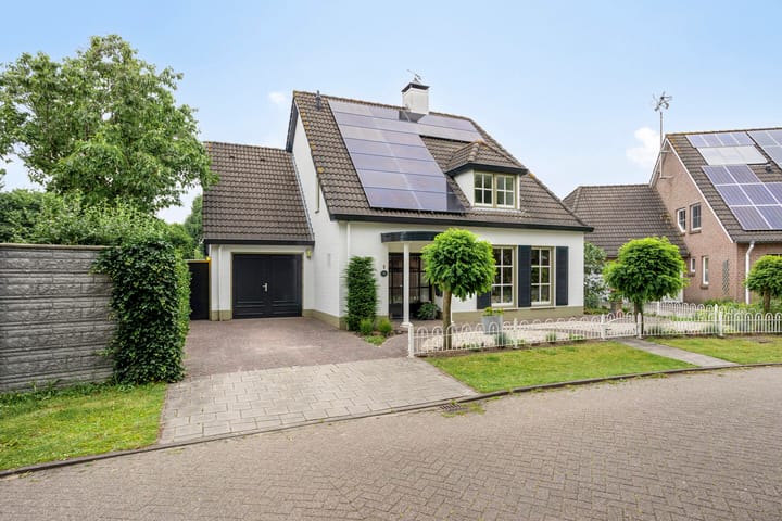 Foto 72 van Balisboom 1