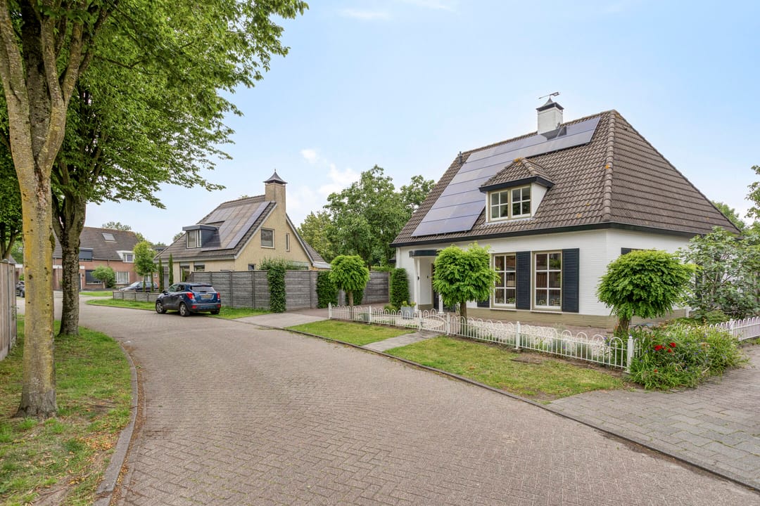 Foto 76 van Balisboom 1