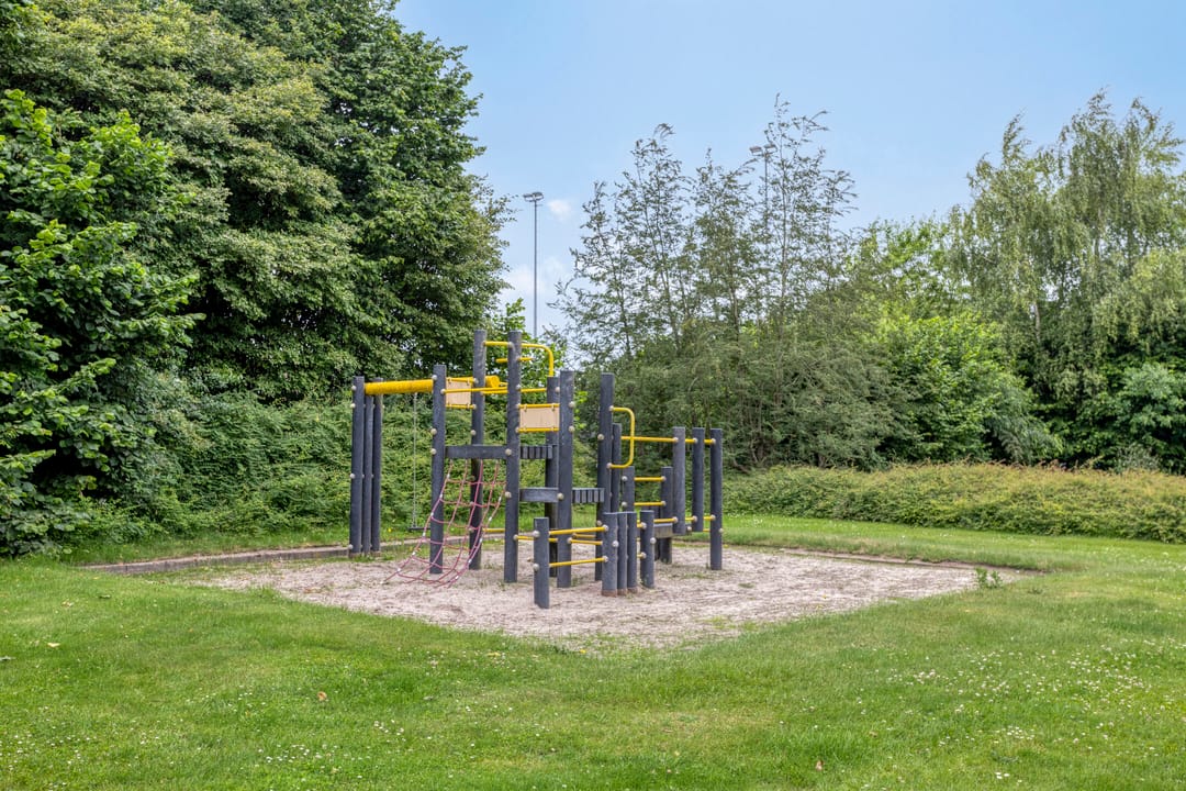 Foto 77 van Balisboom 1