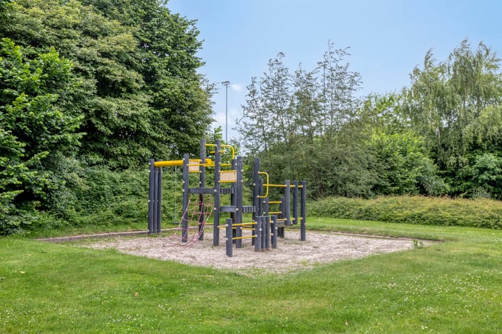 Foto 77 van Balisboom 1