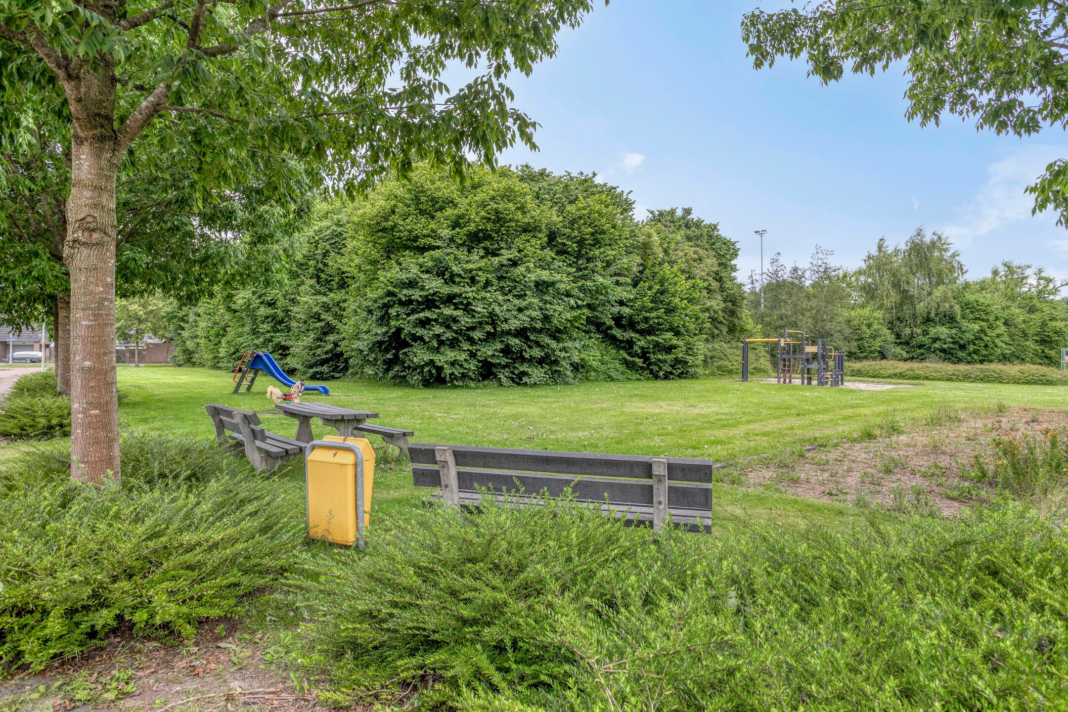 Foto 78 van Balisboom 1