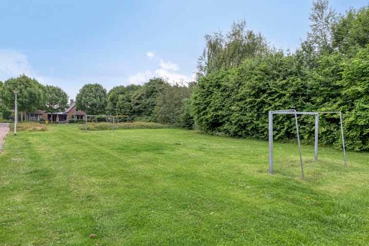 Foto 79 van Balisboom 1