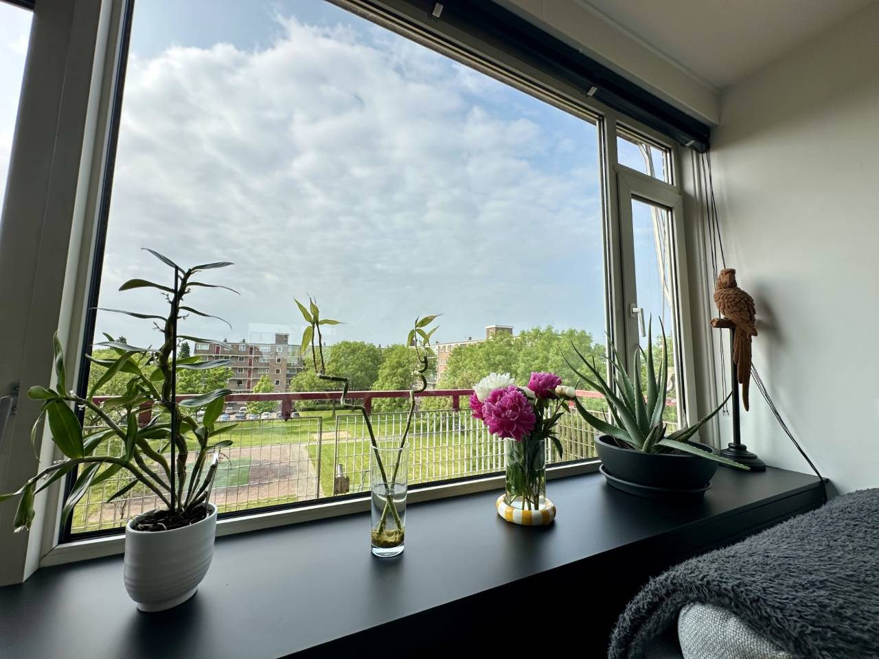 Foto 5 van Maassingel 184