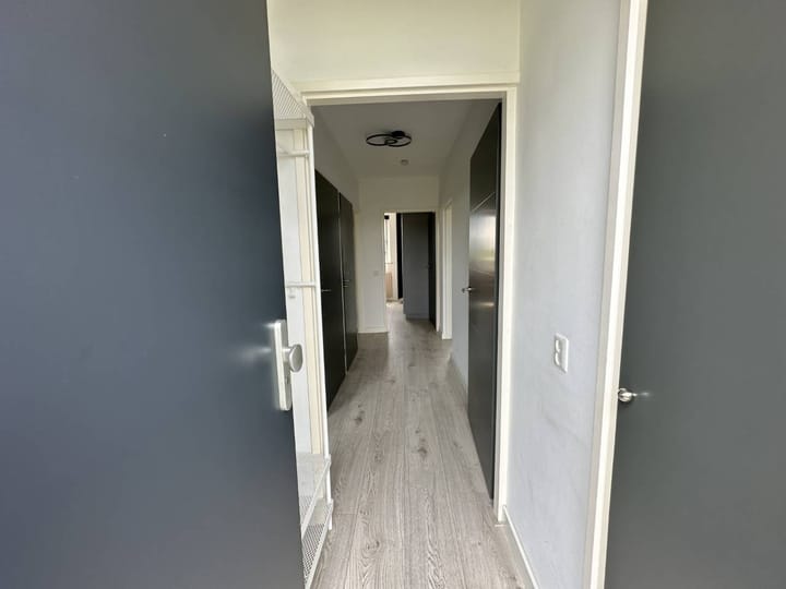 Foto 9 van Maassingel 184