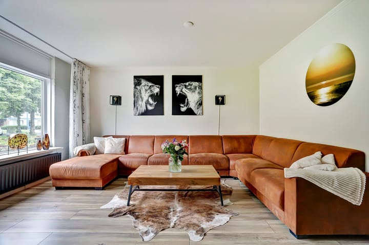 Foto 4 van Oenemastate 18