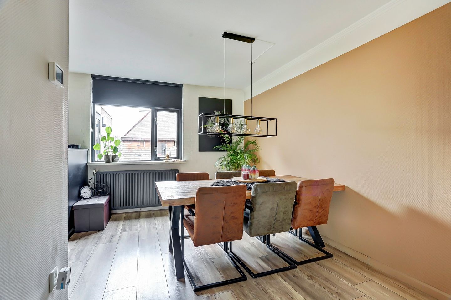 Photo 10 of Oenemastate 18