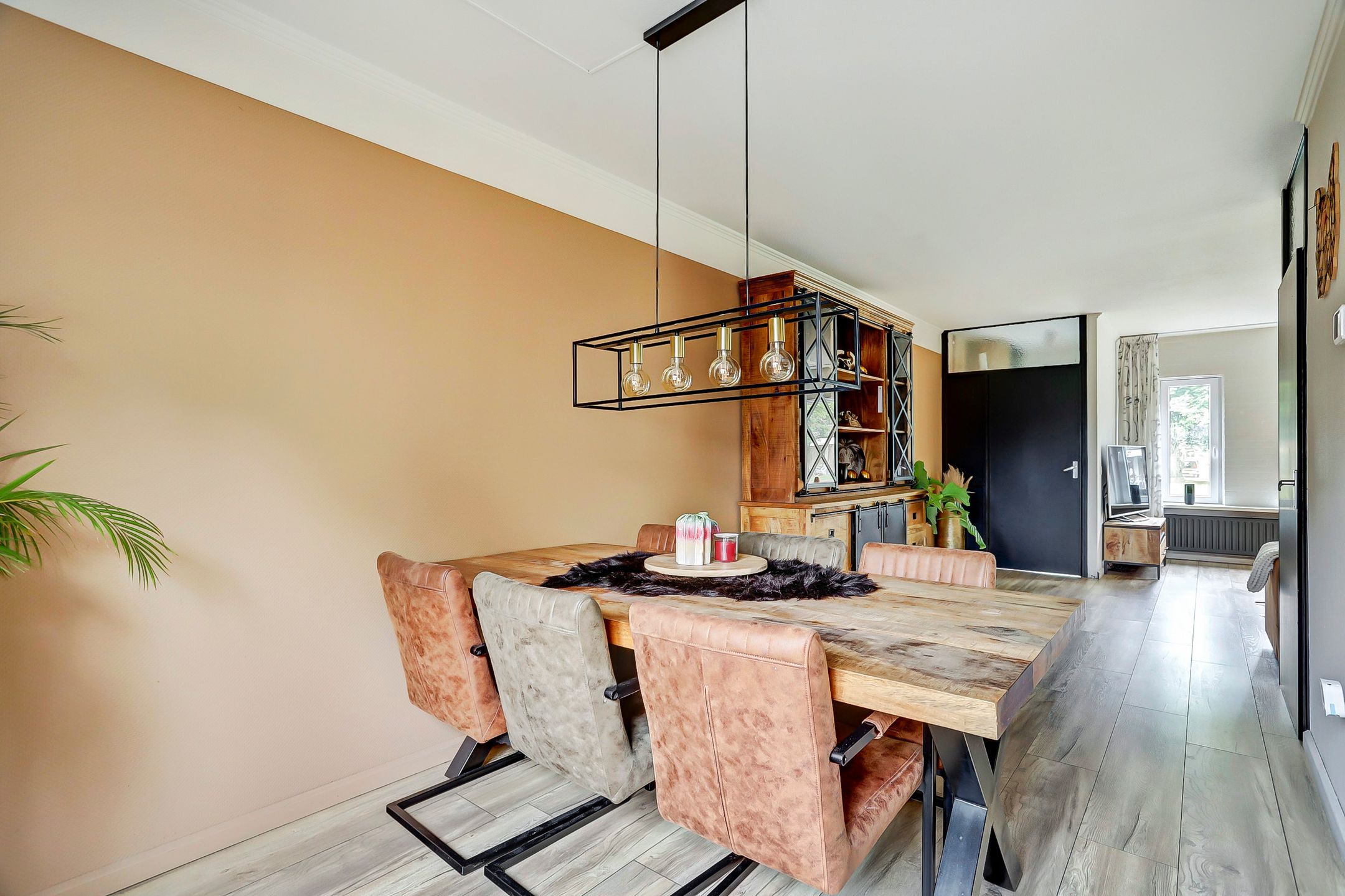 Photo 12 of Oenemastate 18