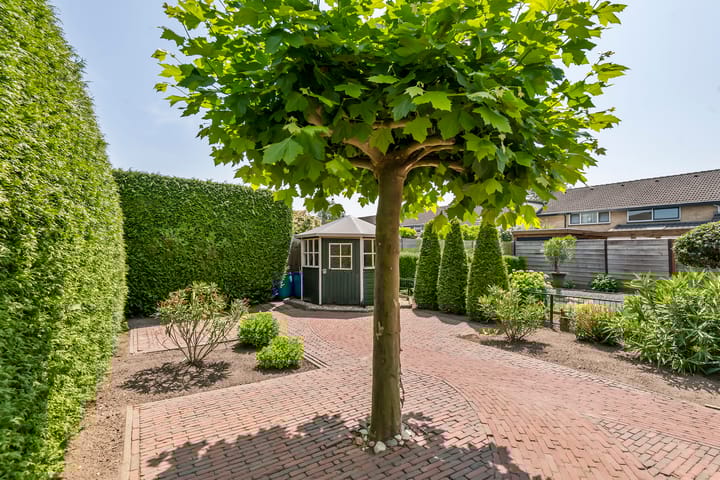 Foto 26 van Korenbloemstraat 1