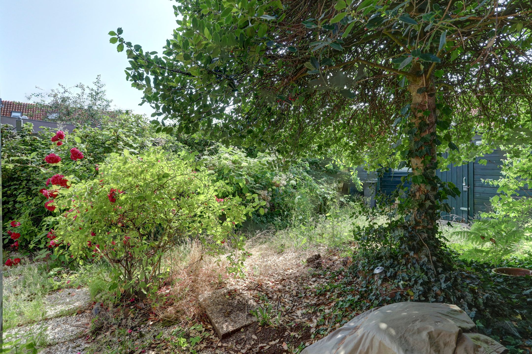 Foto 18 van Stormerdijkstraat 28