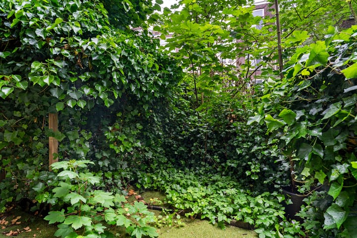 Foto 22 van Lambertusstraat 130-D