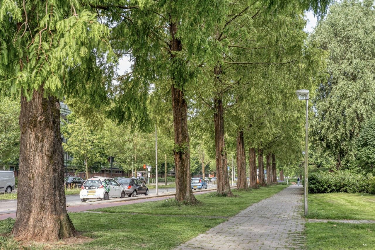 Photo 34 of Fazantplein 11