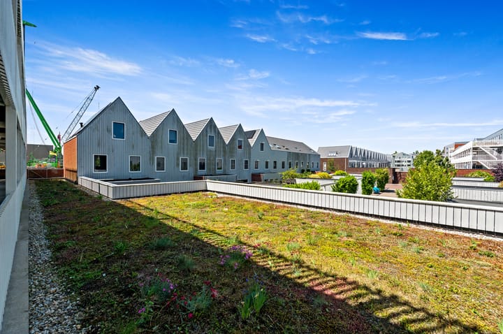 Foto 15 van Zuidmade 50