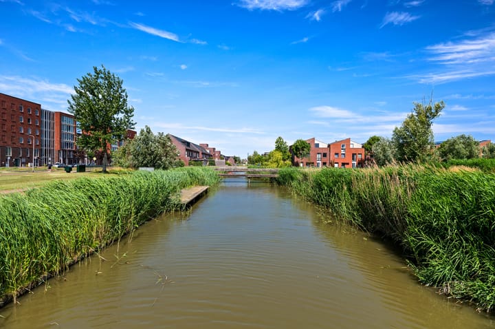 Foto 42 van Zuidmade 50