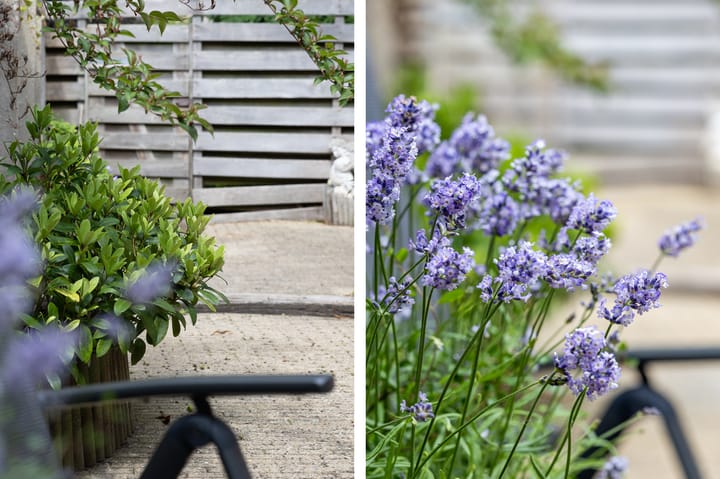 Foto 36 van Nauwe Geldelozepad 38