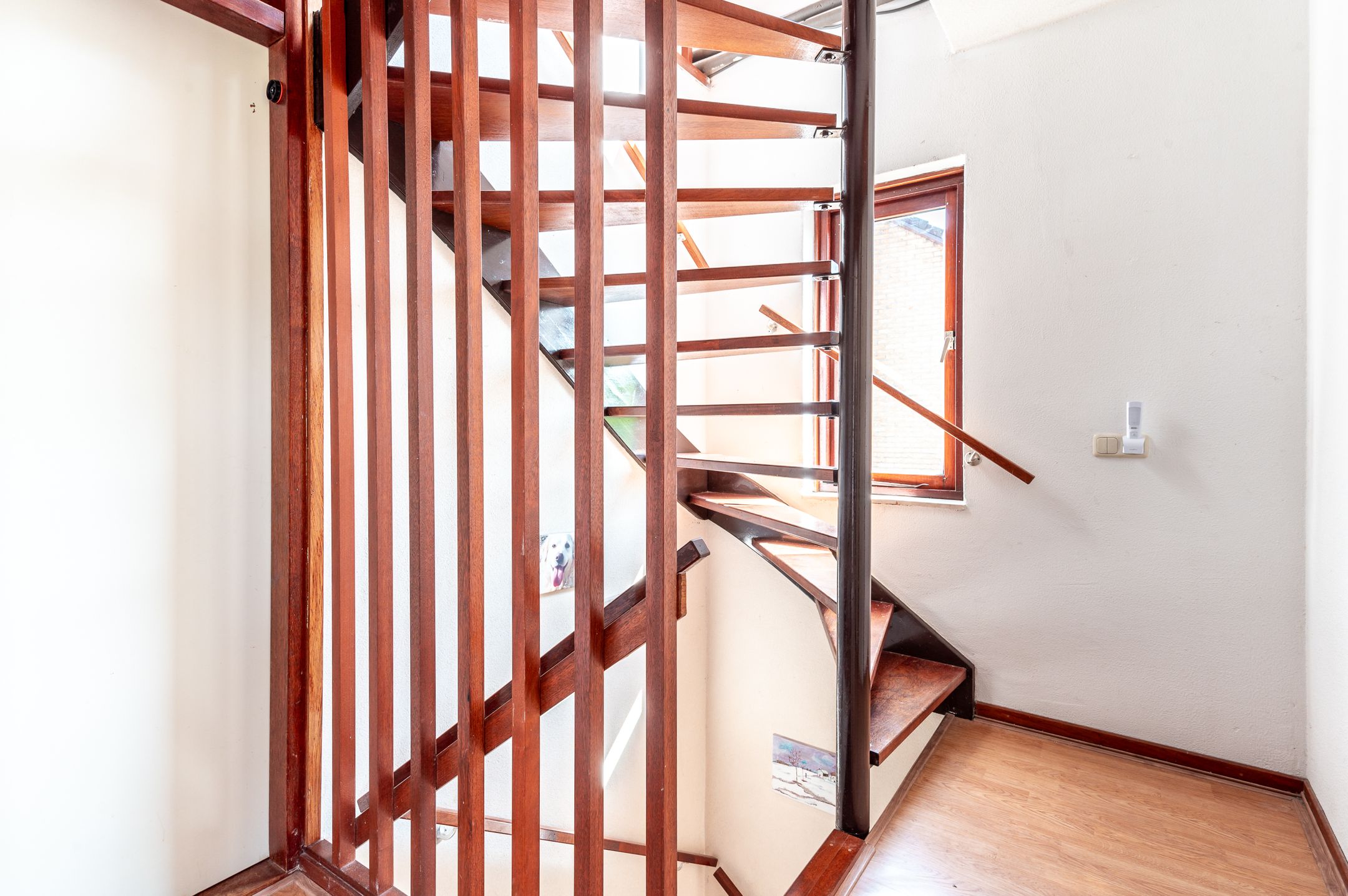 Foto 18 van Botter 38 50